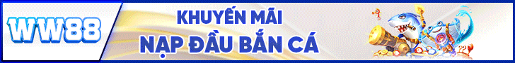 banner-1
